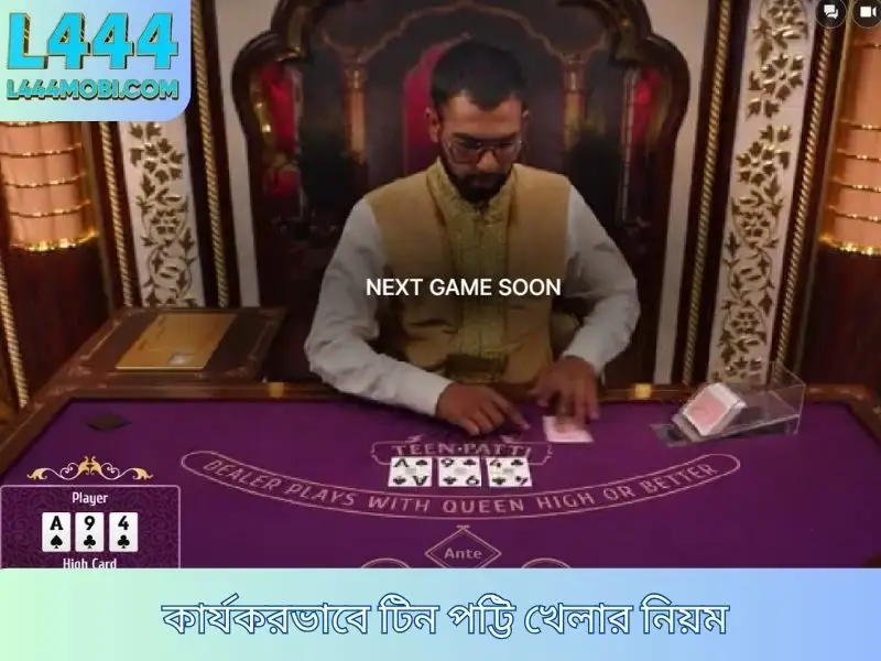 কার্যকরভাবে টিন পাটি খেলার নিয়ম