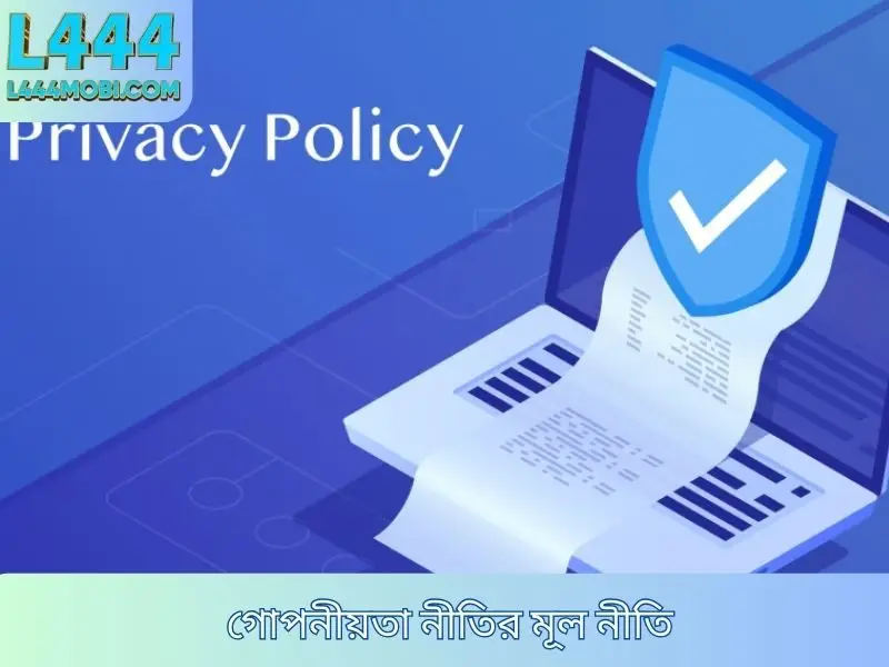 গোপনীয়তা নীতির মূল নীতি